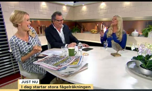 Jag-i-TV4-Nyhetsmorgon-jan-a4-hemsida