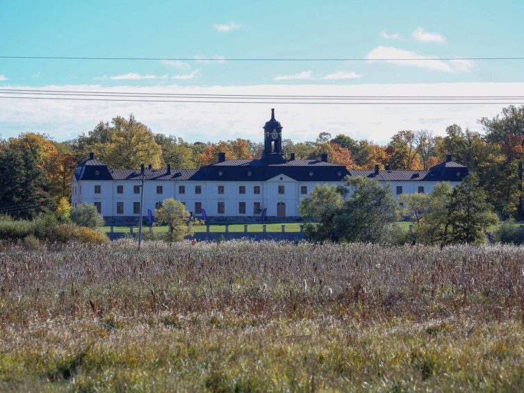 Möt fåglarna vid Svartsjö slott!