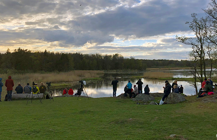 Ågestasjön
